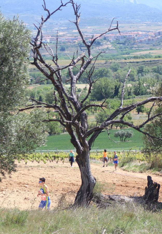 Carrera Los Meandros, de Briones