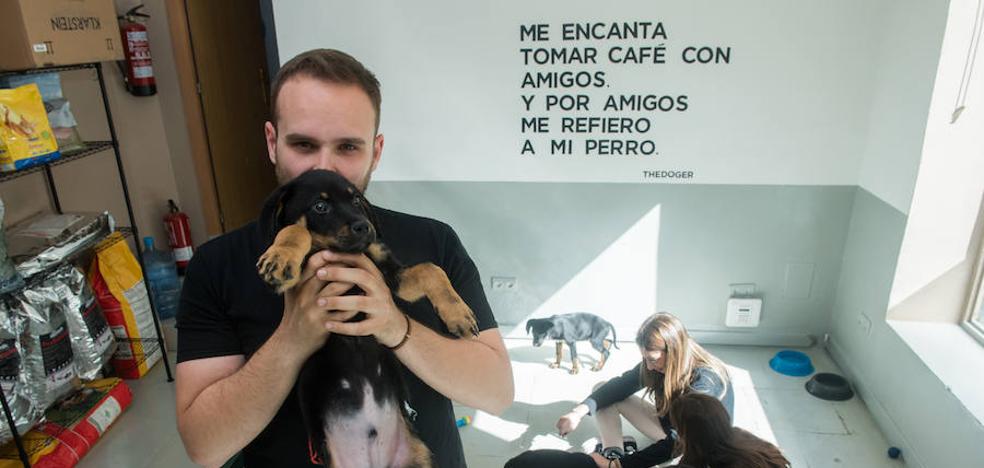 A un café de adoptar un perro