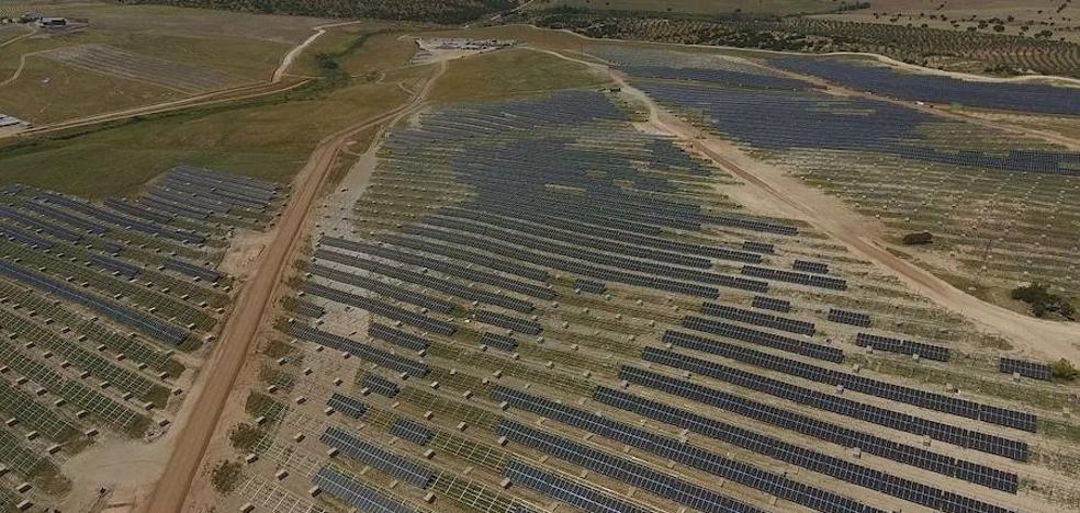 Iberdrola construirá la mayor fotovoltaica de Europa en Extremadura