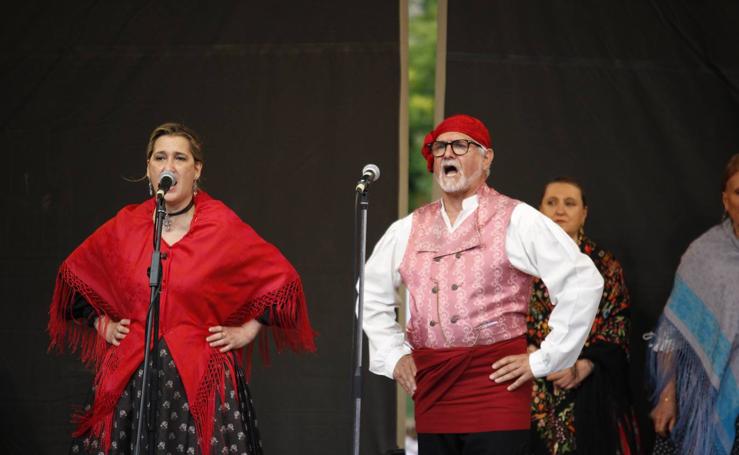 Arnedo celebra el Día de La Rioja