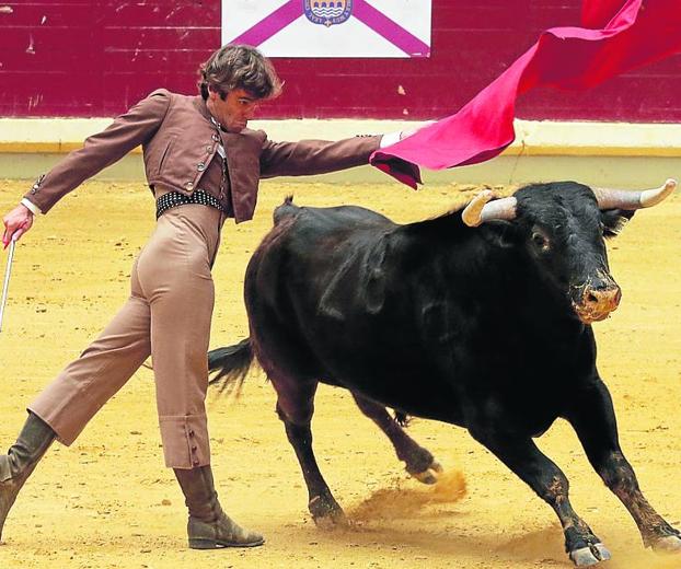 Voto taurino más que cumplido