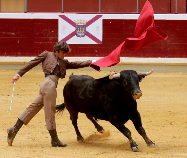 Voto taurino más que cumplido