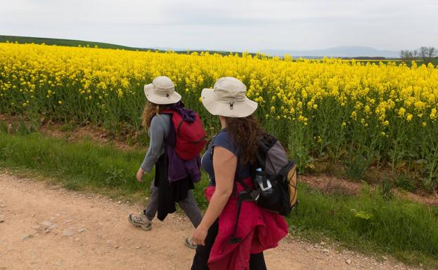 El mapa total del Camino de Santiago