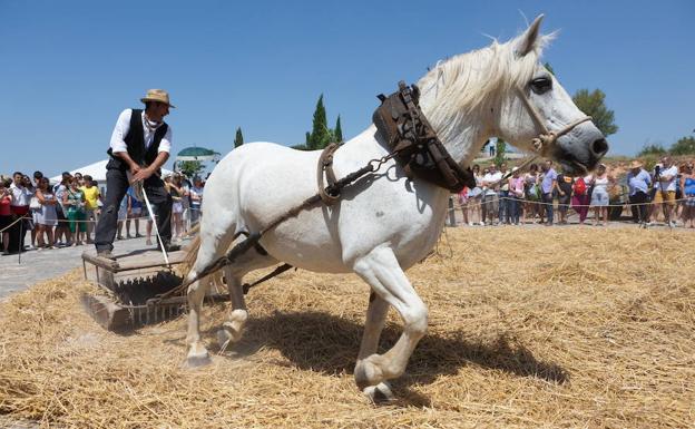 La Rioja Turismo propone 163 actividades turísticas y culturales para este verano