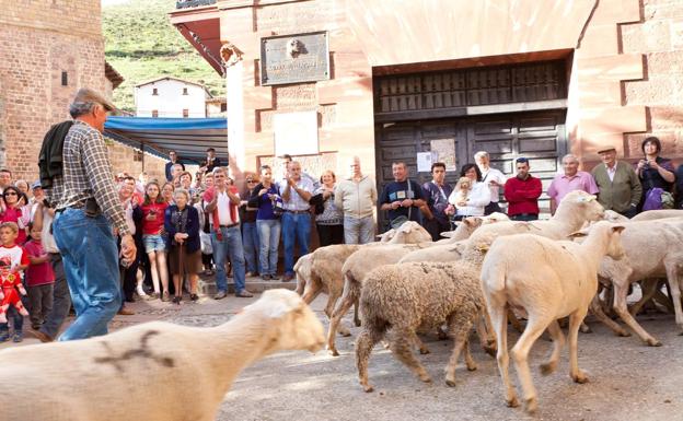 Brieva vive este fin de semana la Fiesta de la Trashumancia