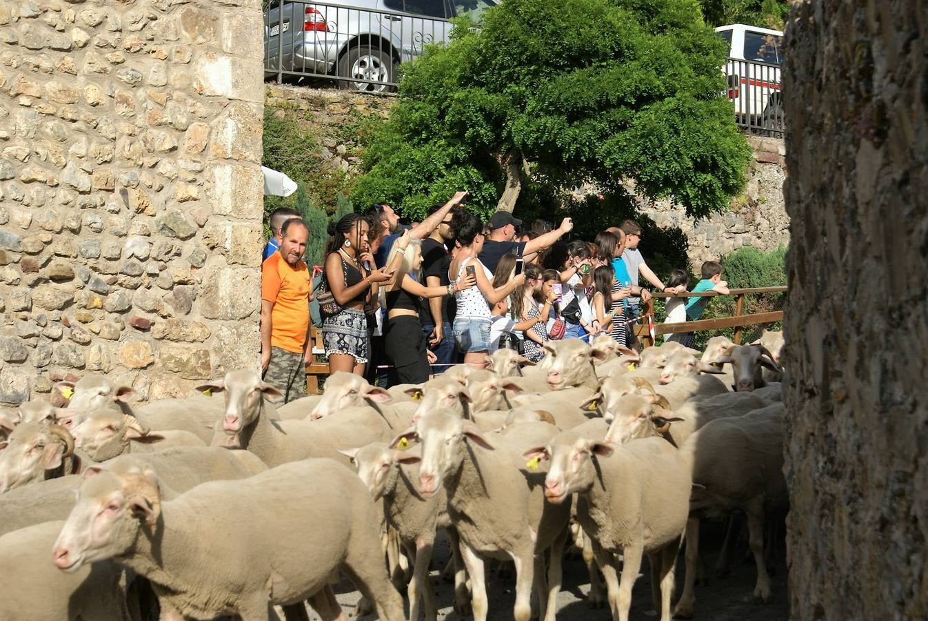 Brieva celebra la Fiesta de la Trashumancia