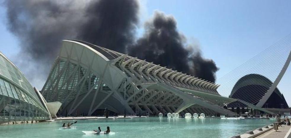 Controlan el incendio que ha obligado a evacuar el Oceanogràfic de Valencia