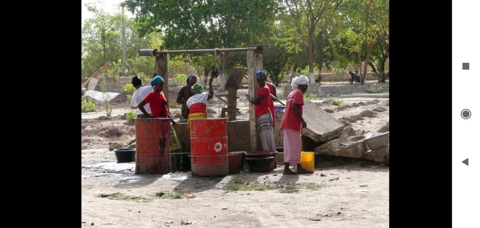 La organización TADeH forma a emigrantes que regresan al sur de Senegal