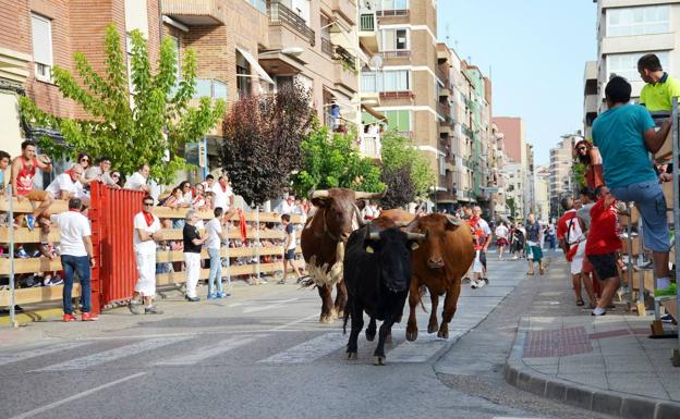 Dos de los cinco encierros matinales de las fiestas de Calahorra serán más cortos por falta de presupuesto