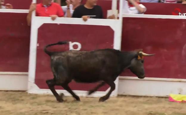 San Pantaleón se celebra a lo grande en Huércanos