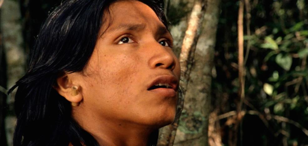 'El canto de la selva', un emocional viaje exótico