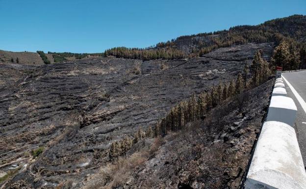 Controlan el incendio en Gran Canaria pero alertan del riesgo por ola de calor