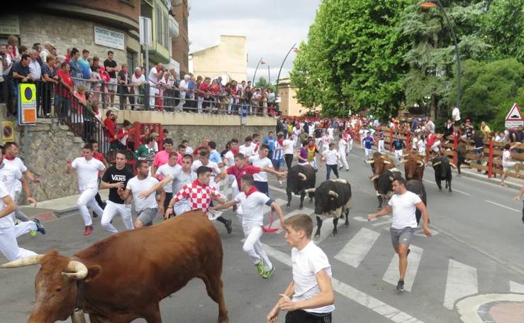 Día del Niño en las fiestas de San Roque y San Ezequiel en Alfaro