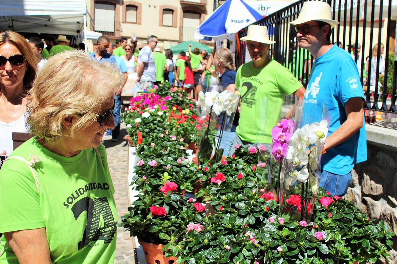 XXIV Fiesta de la Solidaridad de Torrecilla en Cameros