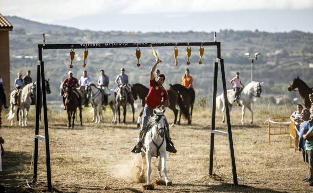 Artillero domina los gallos de Nalda