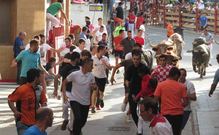 Alfaro celebra su última jornada de fiestas