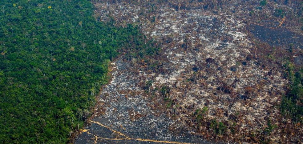 Diez preguntas para entender por qué debería importarte proteger el Amazonas