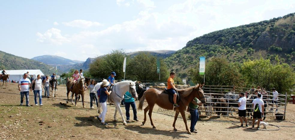 La Feria Ganadera de las 7 Villas animó Mansilla