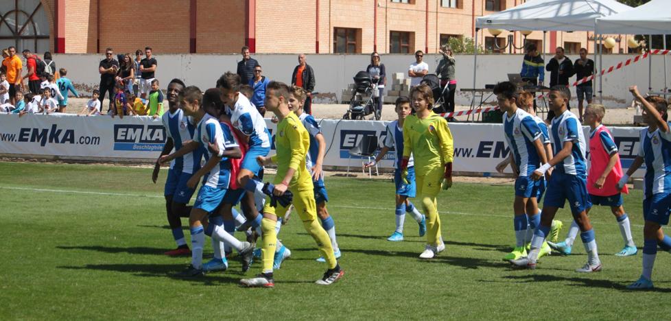 El Torneo de Arnedo, periquito