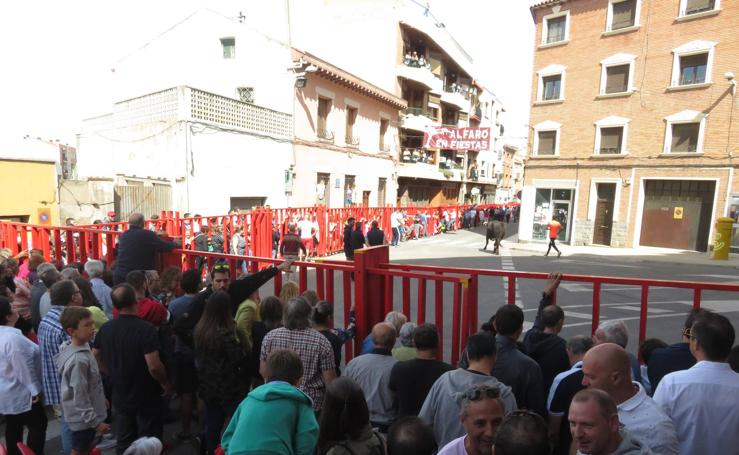 Intenso cuarto día de fiestas en Alfaro