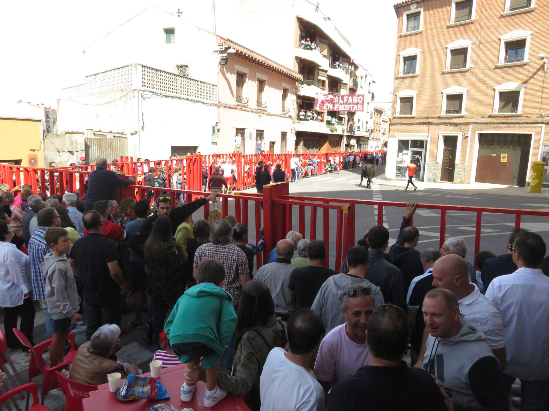 Intenso cuarto día de fiestas en Alfaro