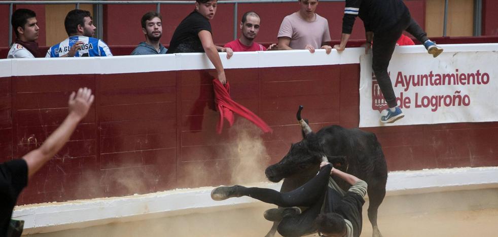 Vaquillas juguetonas y un revolcón