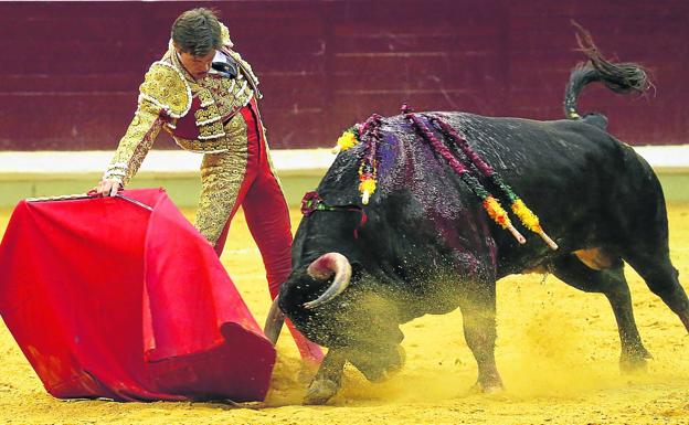 La bravura inconsolable de Maestro