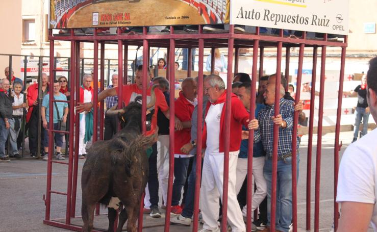 Encierros, degustaciones, hinchables y buen tiempo en el quinto día de fiestas de Arnedo