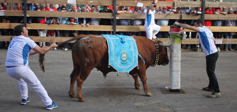 Arnedo goza de sus fiestas de cabo a rabo