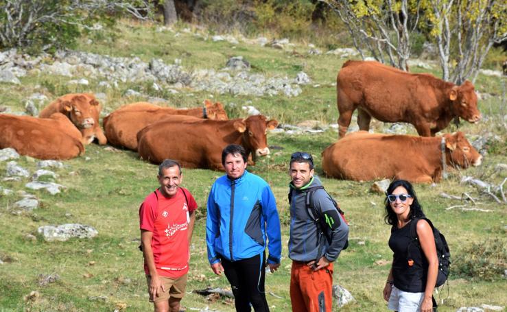 Marcha de Hoyos de Iregua