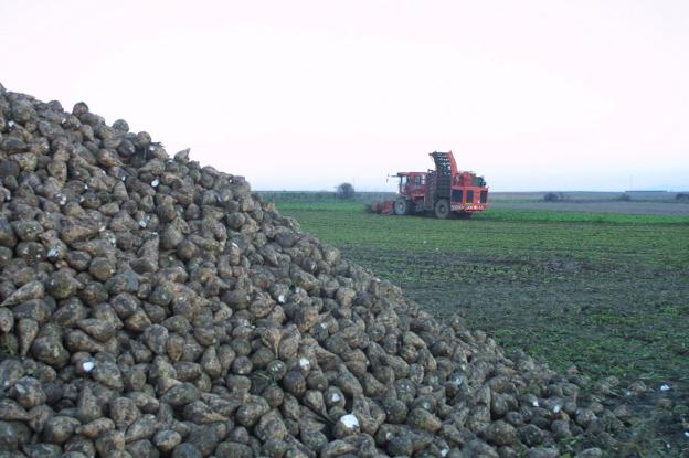 Los productores riojanos piden una reunión con la titular de Agricultura