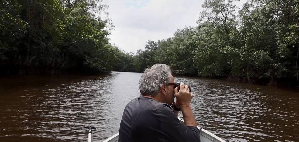 La fotografía en verde