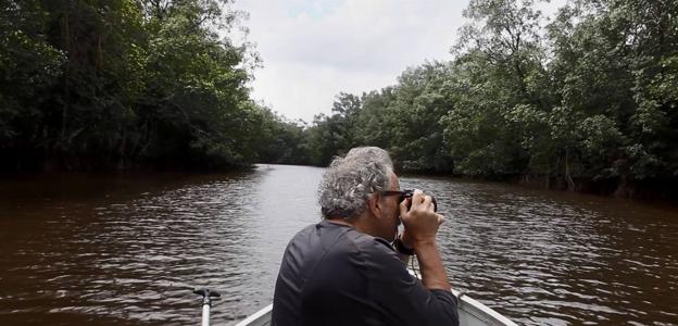 La fotografía en verde