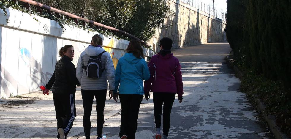 La ampliación del Camino de Santiago entre El Arco y La Grajera estará lista para el verano