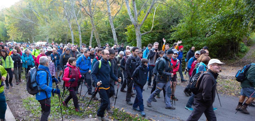 El otoño echa a andar en Tobía