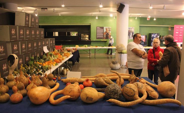 XXXI Semana de las Ciencias Naturales de Arnedo