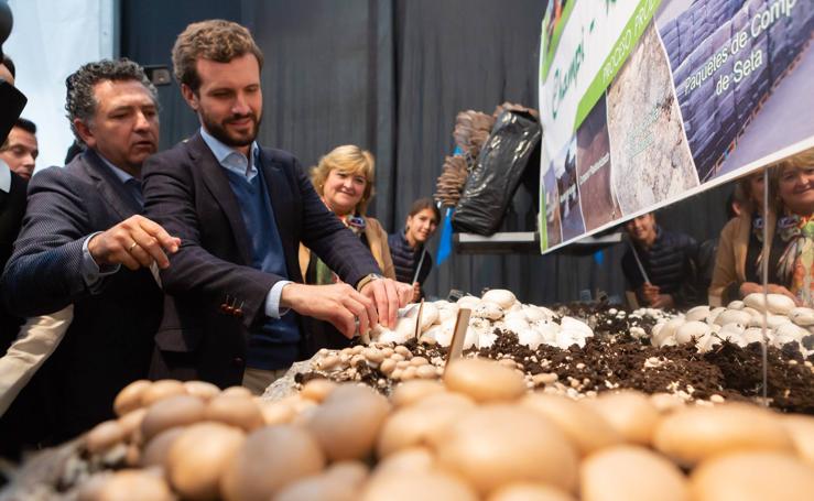 Las imágenes de la visita de Pablo Casado a Autol