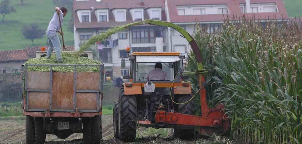 La PAC medioambiental, uno de los retos pendientes de la nueva Comisión