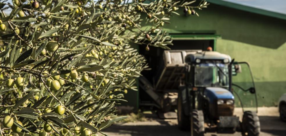 Aceite riojano sin fronteras... o casi