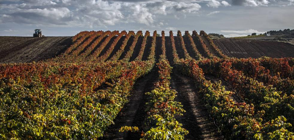 10 paisajes de otoño en La Rioja