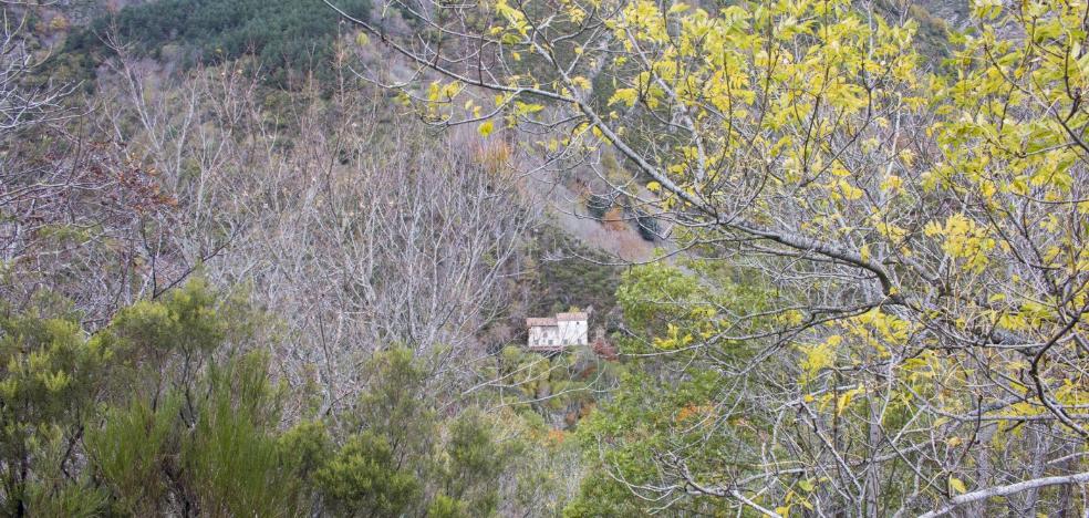 Vida para El Águila