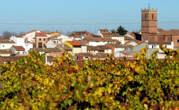 El agricultor José Alberto Olarte recibe el 'Premio Mildiu' por localizar el hongo en un viñedo de Arenzana de Abajo