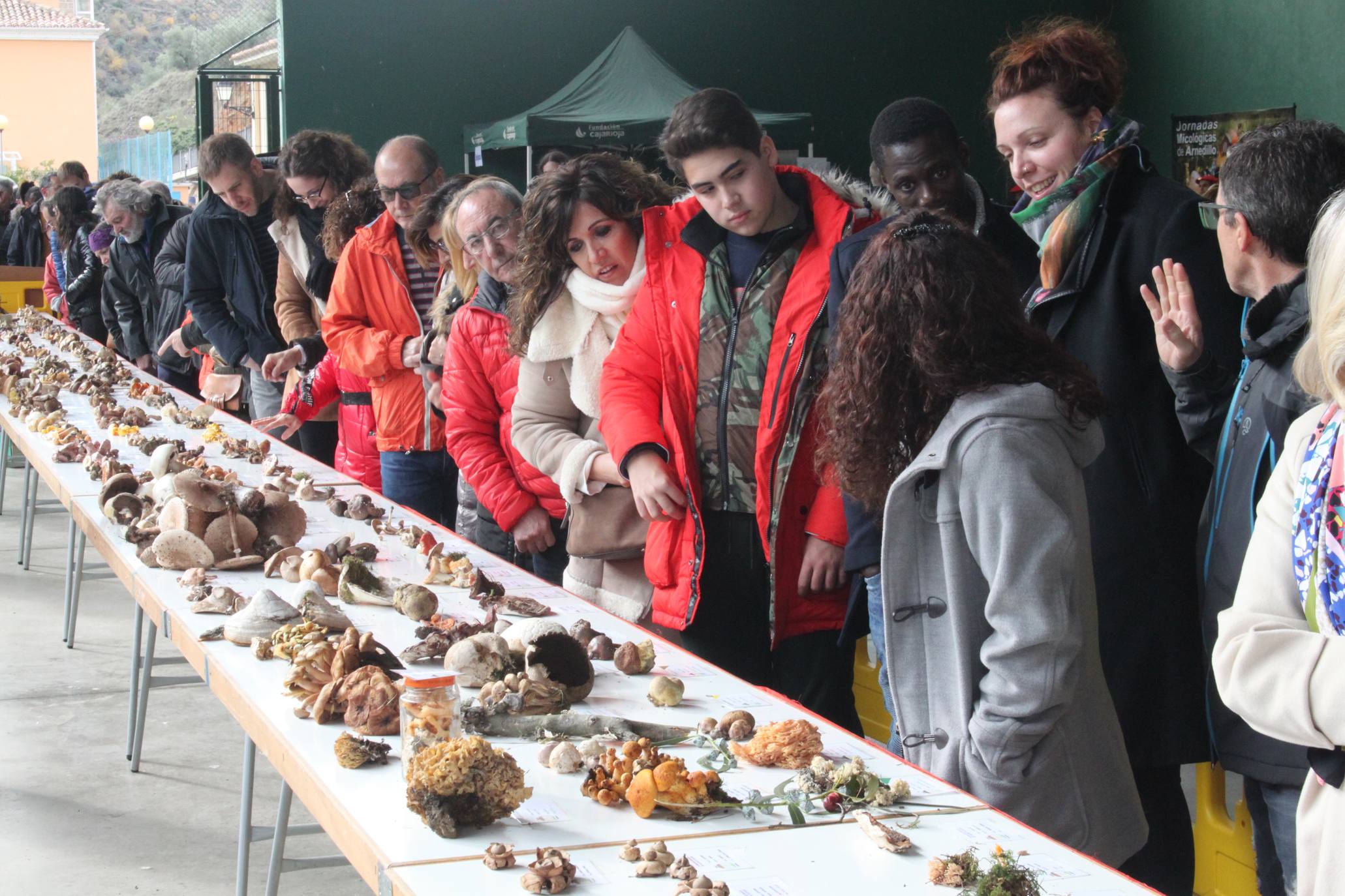 XXIX Jornadas Micológicas de Arnedillo