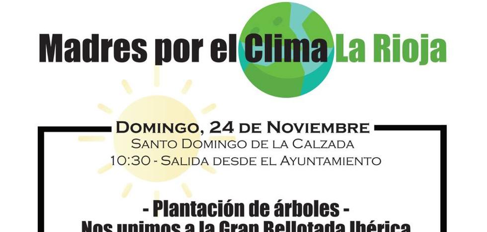 'Madres por el clima' organiza una plantación de bellotas en Santo Domingo