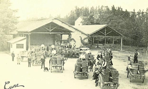 CVNE, 140 años y sumando