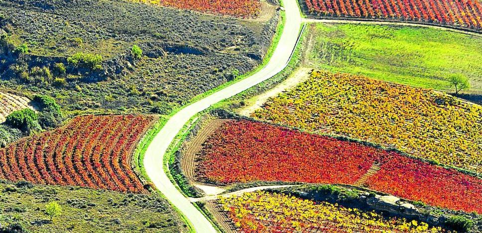 Una Rioja más diversa: el gran suplemento del vino, gratis este domingo