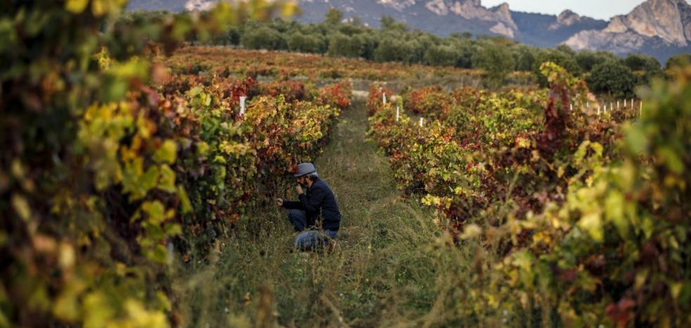 El músculo y el alma de Rioja