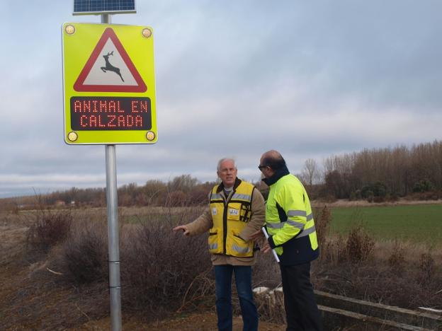 La Rioja probará un sistema con sensores, vallasy feromonas contra los accidentes con animales