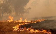 Los superincendios forestales arrojan a la atmósfera 19 veces el CO2 generado por España