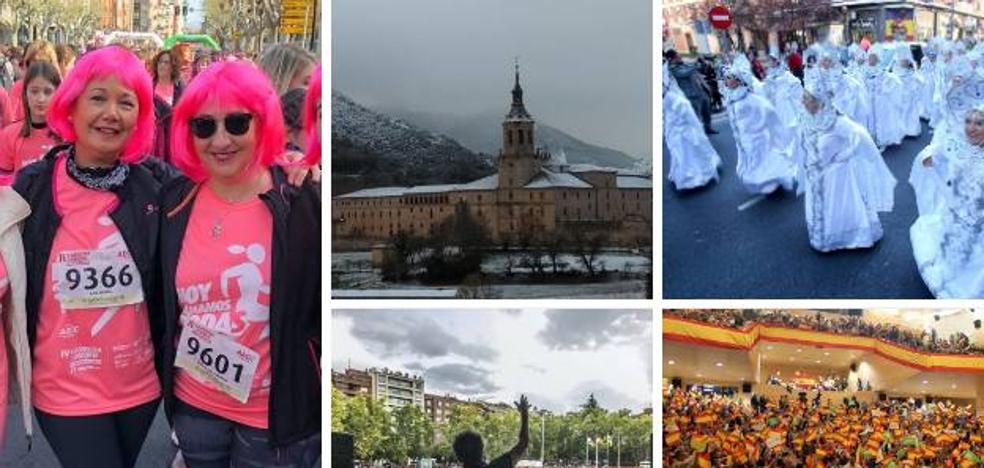 Las galerías de fotos más vistas del 2019 en larioja.com